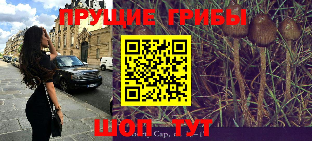 Галлюциногенные грибы мицелий Гусев
